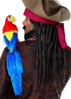 Pirátská sada (papoušek, elastický držák)