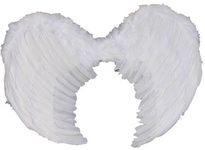 Andělská křídla péřová 100x40cm