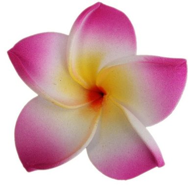 Květina do vlasů (Hawai)