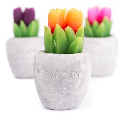 Dekorativní svíčka tulipán v květináči 6x11cm