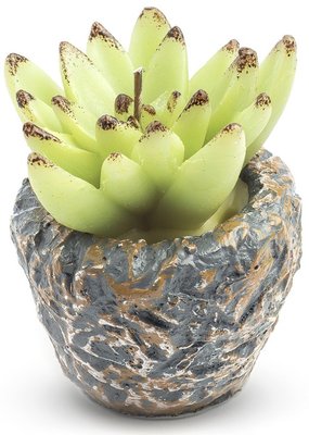 Svíčka kaktus 7x7cm