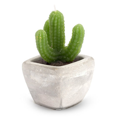Svíčka kaktus v polyresinu 5,5x5,5cm