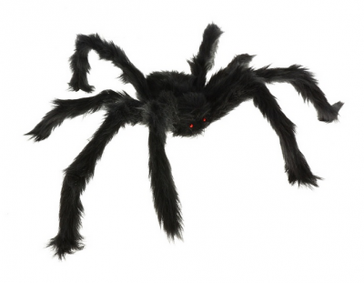 Pavouk 60cm