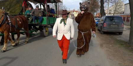 Jak na masopustní kostým medvěda