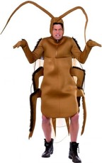Pánský kostým brouk
