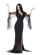 Dámský kostým Morticia Addams (šaty)