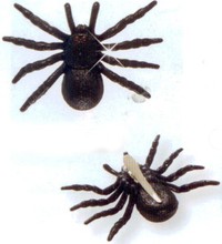 Spona do vlasů pavouk