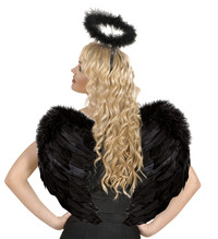 Křidla peřová černá 37x50cm