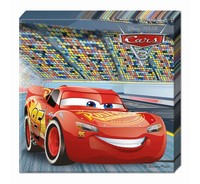 Ubrousky Disney Cars 20ks