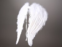 Andělská křídla, bílá
