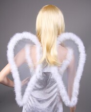 Andělská křídla, průhledná