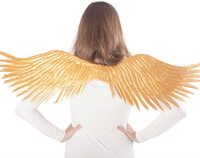 Zlatá andělská křídla