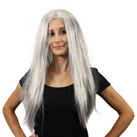 Stříbrná paruka čarodějnice/Halloween pro dospělé