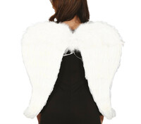 Andělská křídla s peřím 80x60 cm