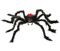 Pavouk černá vdova, 75 cm