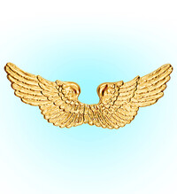 Dětské andělské zlaté křídla, 88 x 30 cm