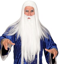 Kouzelnická pánská paruka s vousy