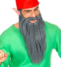 Pánský šedý plnovous