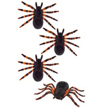 Sada 4 tarantulí, 7 cm