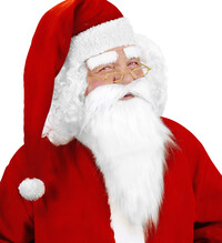 Santa Clausův plnovous a obočí