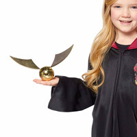 Zlatonka, Harry Potter