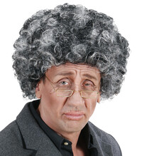Paruka stařík