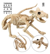 Krysí kostra 40 cm
