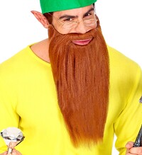 Dlouhý hnědý plnovous