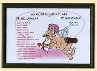Co musíš udělat aby tě milovala - Schéma