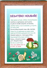 Desatero houbaře