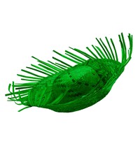 Zelené sombrero