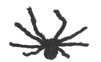 Pavouk - horror spider