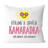 Úžasná a skvělá kamarádka - polštářek