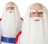 Pánská paruka s vousy Panoramix (Asterix a Obelix)