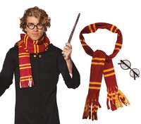 Kouzelnická sada Harry Potter (brýle a šála)
