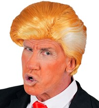 Pánská paruka prezident