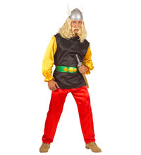 Asterix pánský kostým - L (II. Jakost)