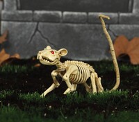 Kostra krysy, 20 cm