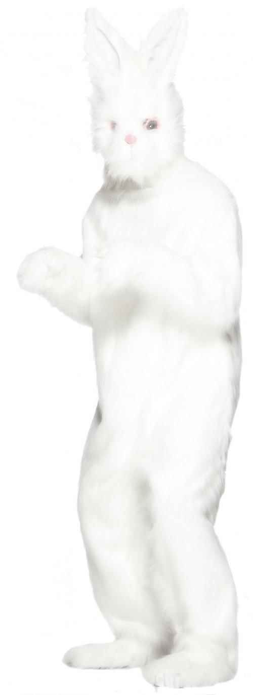 Kostým králík