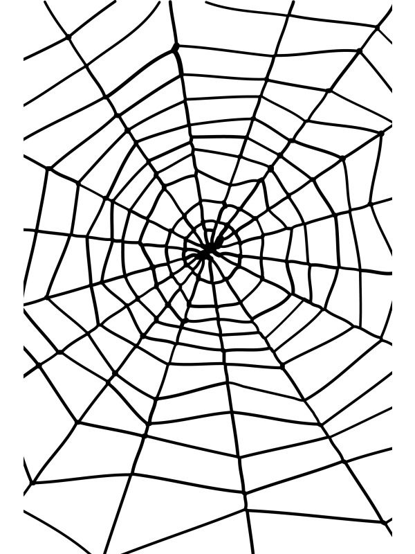 Pavoučí síť s pavoukem