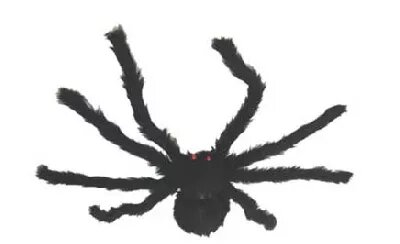 Pavouk - horror spider