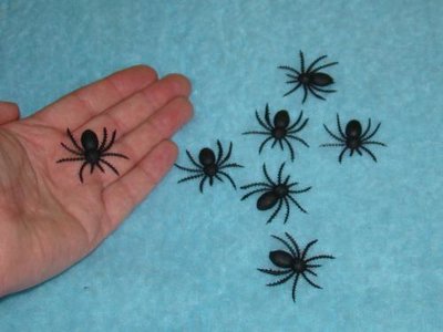 Malý pavouček (50 ks)