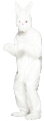 Kostým králík