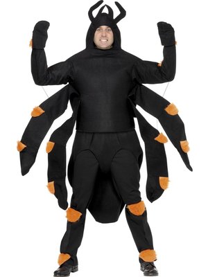 Pánský kostým pavouk