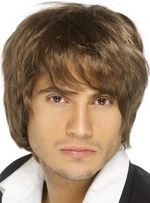 Pánská paruka idol