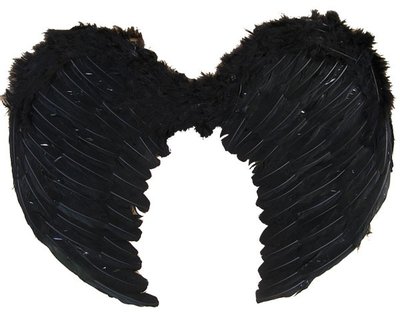 Andělská křídla péřová černá 100x40cm