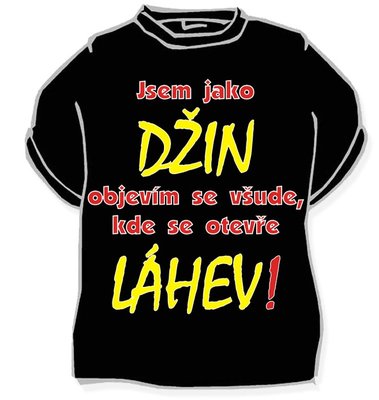 Jsem jako Džin