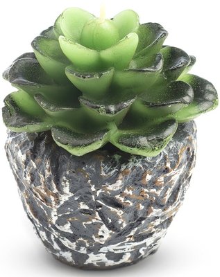 Svíčka kaktus 7x7cm