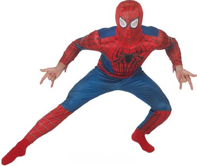 Pánský karnevalový kostým Spiderman