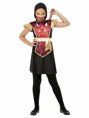 Ninja Bojovnice dívčí kostým